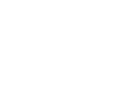 Mount Carmel Dublin